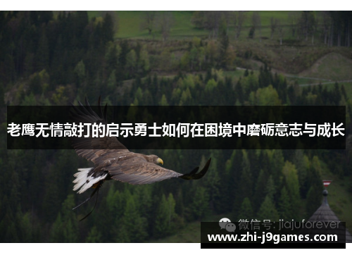 老鹰无情敲打的启示勇士如何在困境中磨砺意志与成长 老鹰无情敲打的启示勇士如何在困境中磨砺意志与成长